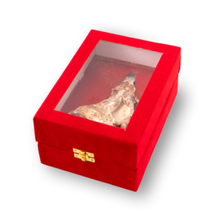 Shri Omkar Labdhi Sadhna Kendra