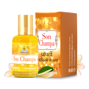 Shri Omkar Labdhi Sadhna Kendra