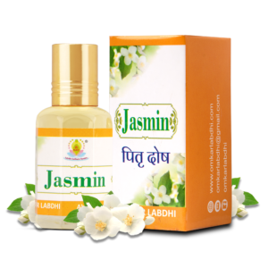 Shri Omkar Labdhi Sadhna Kendra