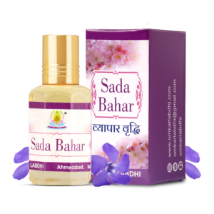 Shri Omkar Labdhi Sadhna Kendra