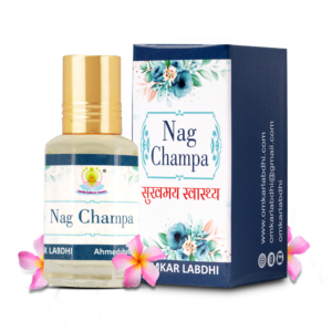 Shri Omkar Labdhi Sadhna Kendra