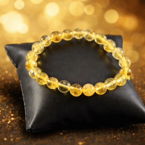 Shri Omkar Labdhi Sadhna Kendra