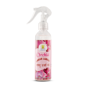 Orchid Spray