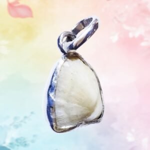 Shri Omkar Labdhi Sadhna Kendra