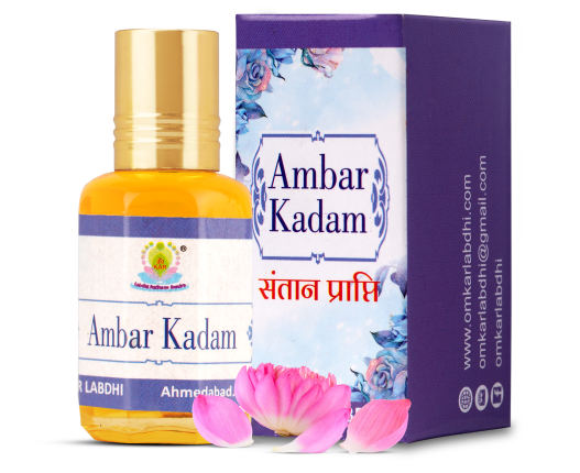 Shri Omkar Labdhi Sadhna Kendra