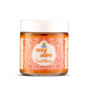 Shri Omkar Labdhi Sadhna Kendra